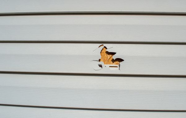 Siding Hole Repair in Bellingham