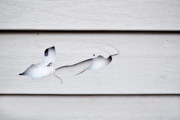 Siding Leak Repair in Bellingham
