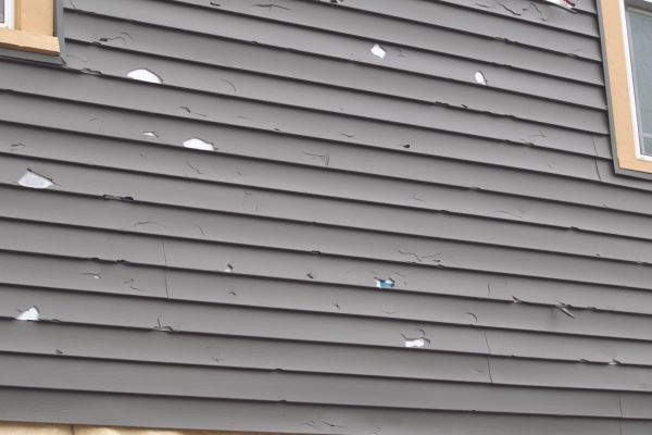 Damaged Siding Replacement in Bellingham