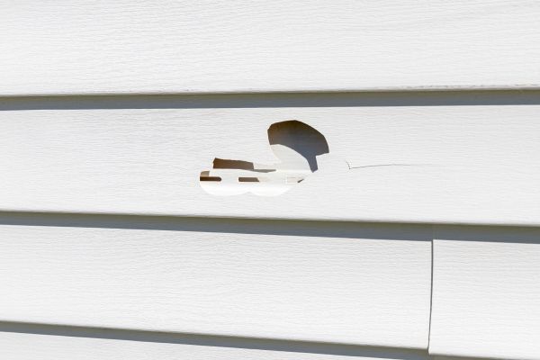 Cost of White Vinyl Siding Repair in Bellingham